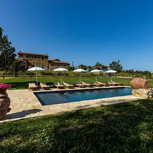 Wine Colsereno Montalcino