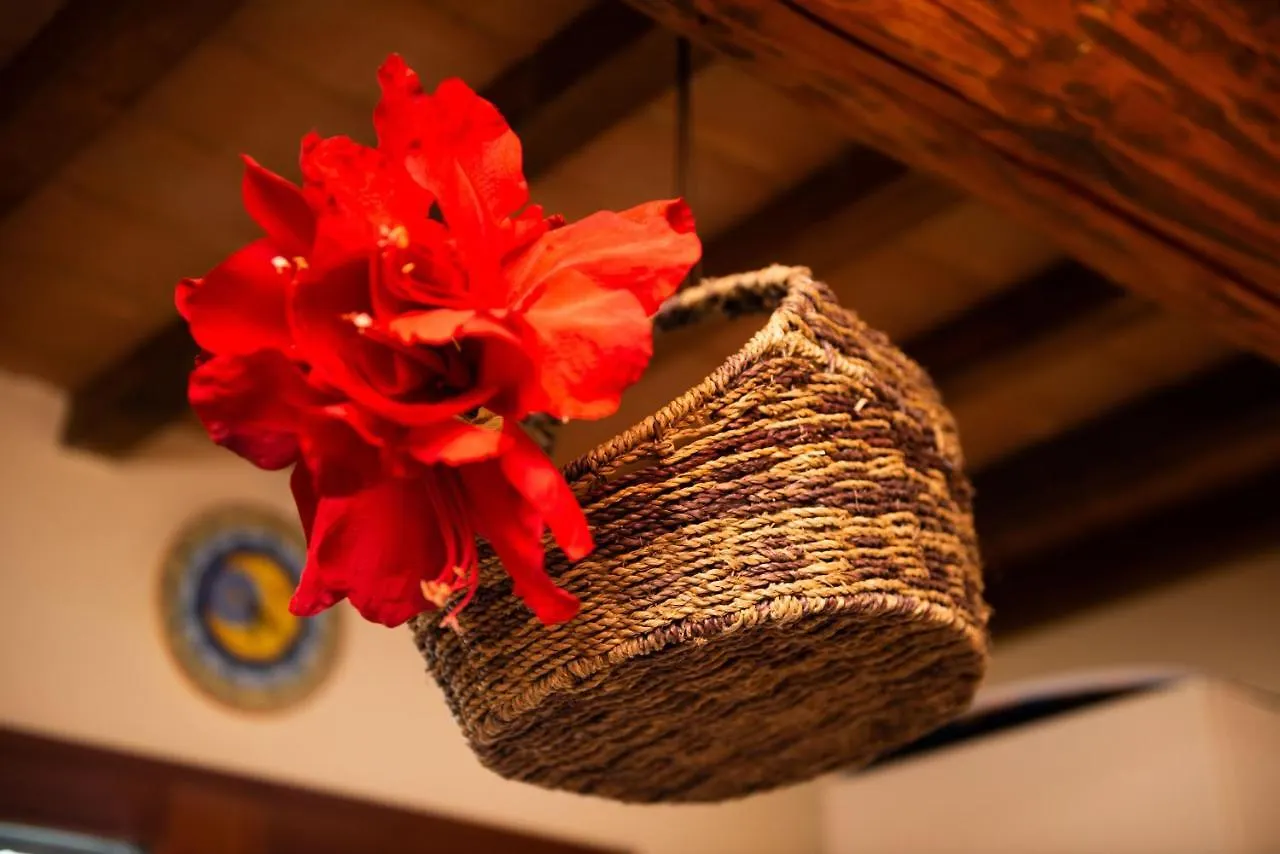 L'Olivo Gina, Minnie'S Cottage Montalcino