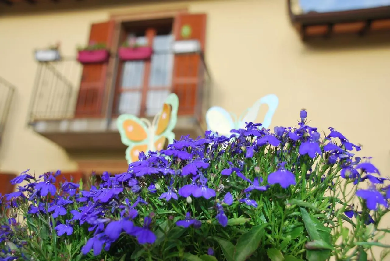 L'Olivo Gina, Minnie'S Cottage Montalcino Italy